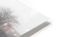 Dyad HD Metal print