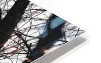 Attempted Murder HD Metal print