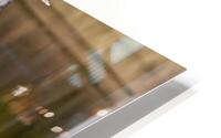 Silver Suave HD Metal print