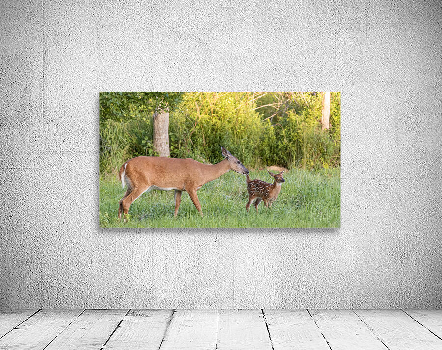 Wait a Second Bambi Wall Preview