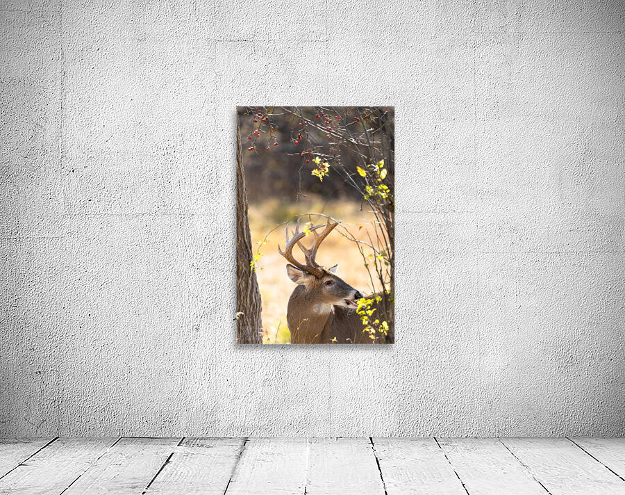 Trail Mix Wall Preview