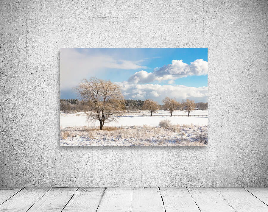 Dusted Days Wall Preview