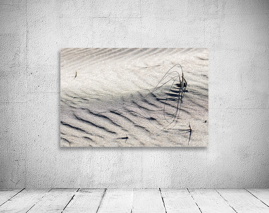 Nature Sketch Wall Preview