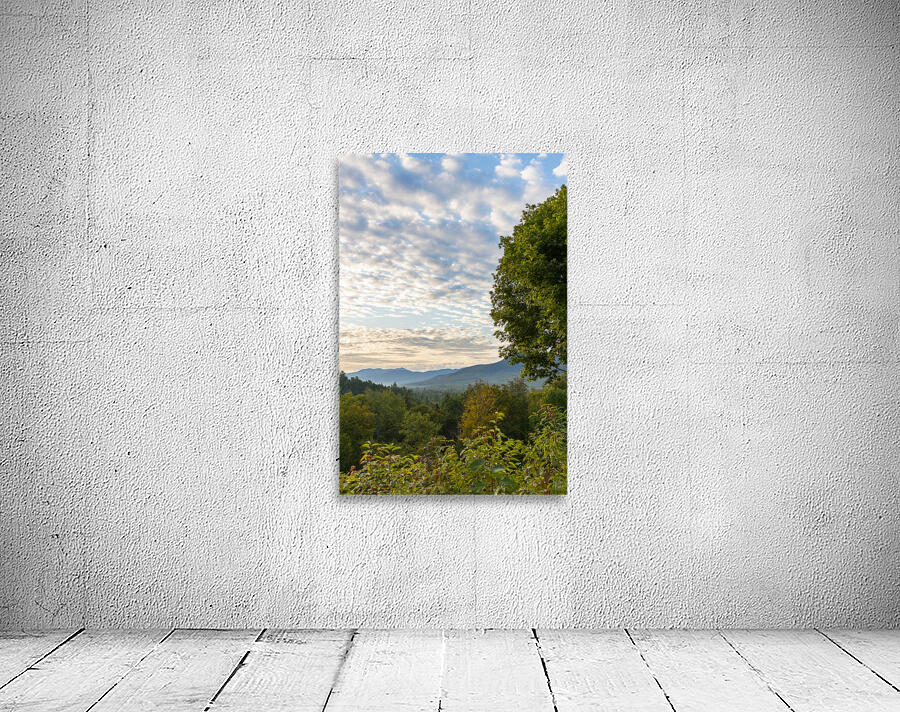 Morning View Wall Preview