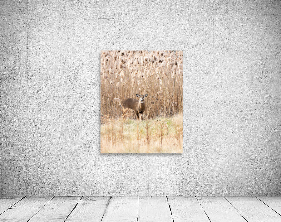 Blending Wall Preview