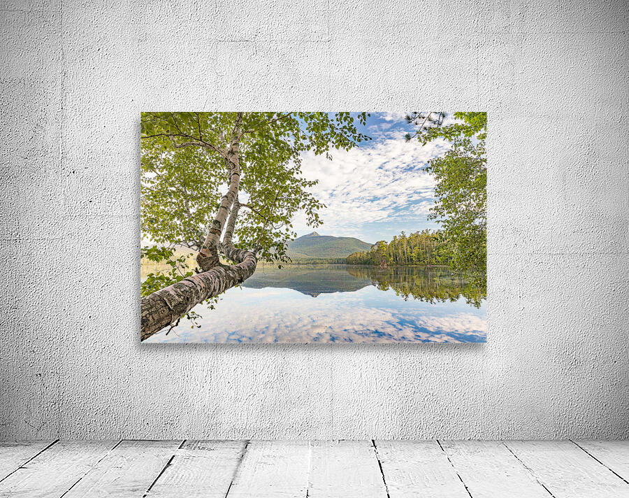 Aubreys View Wall Preview