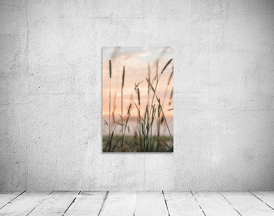 Weeds in the Wind Wall Preview