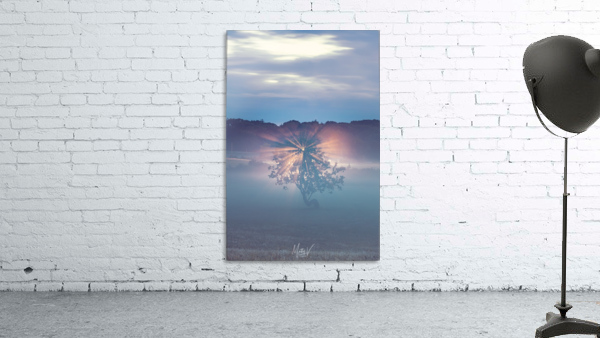Shining in Solitude Wall Preview