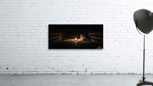 Sanguine Serenity Wall Preview