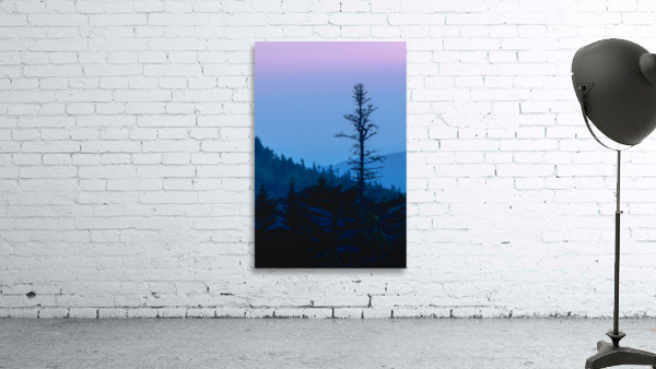Standing Out Wall Preview