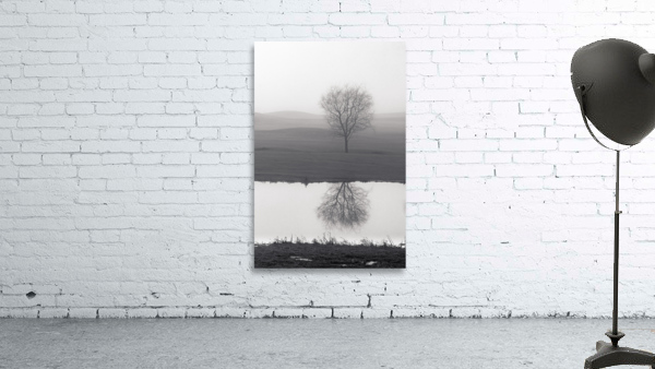 Vanity Wall Preview