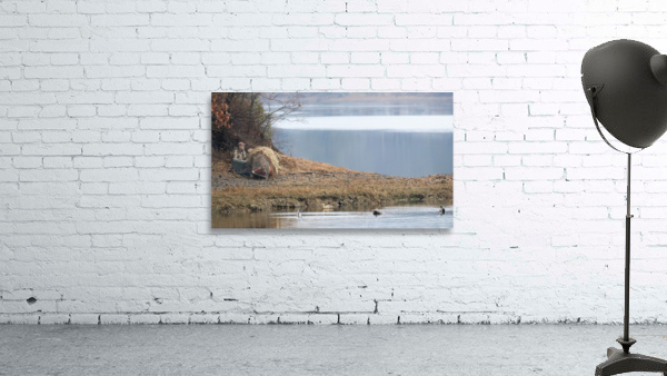 Forbearance Wall Preview