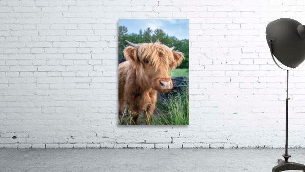 Hay there  Wall Preview