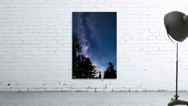 Not Alone Wall Preview