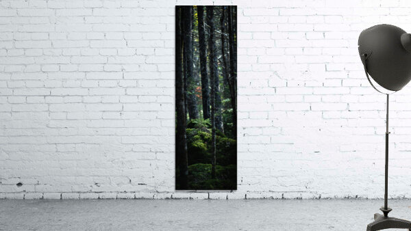 Growth Wall Preview