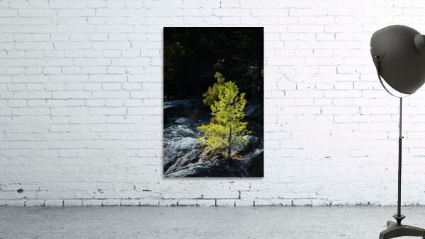 Persistence Wall Preview
