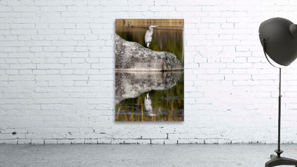 Silver Suave Wall Preview