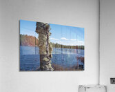 Calme  Acrylic Print