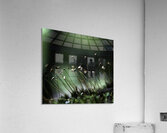 Champs de fees  Acrylic Print