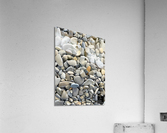 Douceur rocailleuse  Acrylic Print