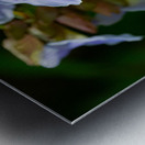 Flora Metal print