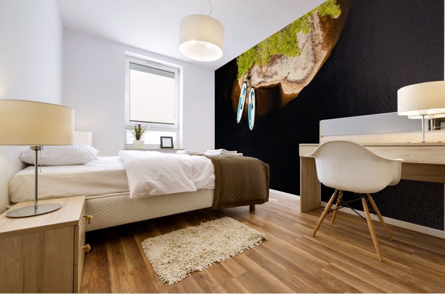 Paddle relax Mural print