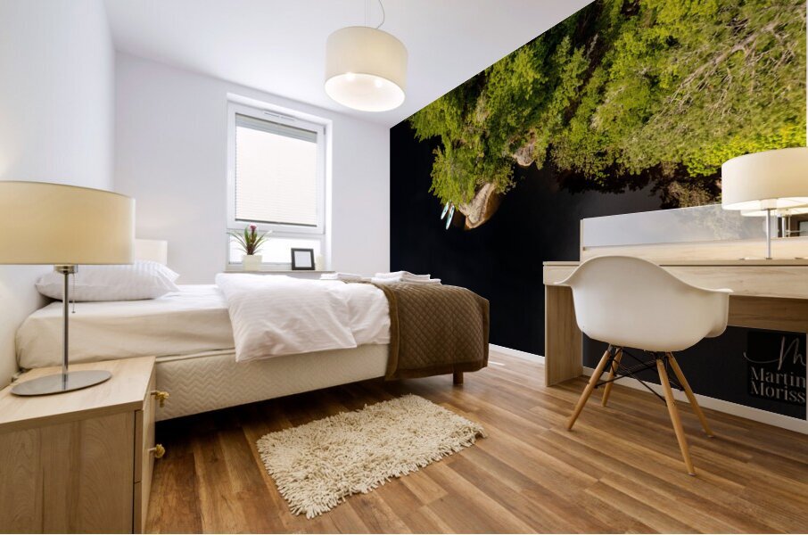 Paddle relax 3 Mural print