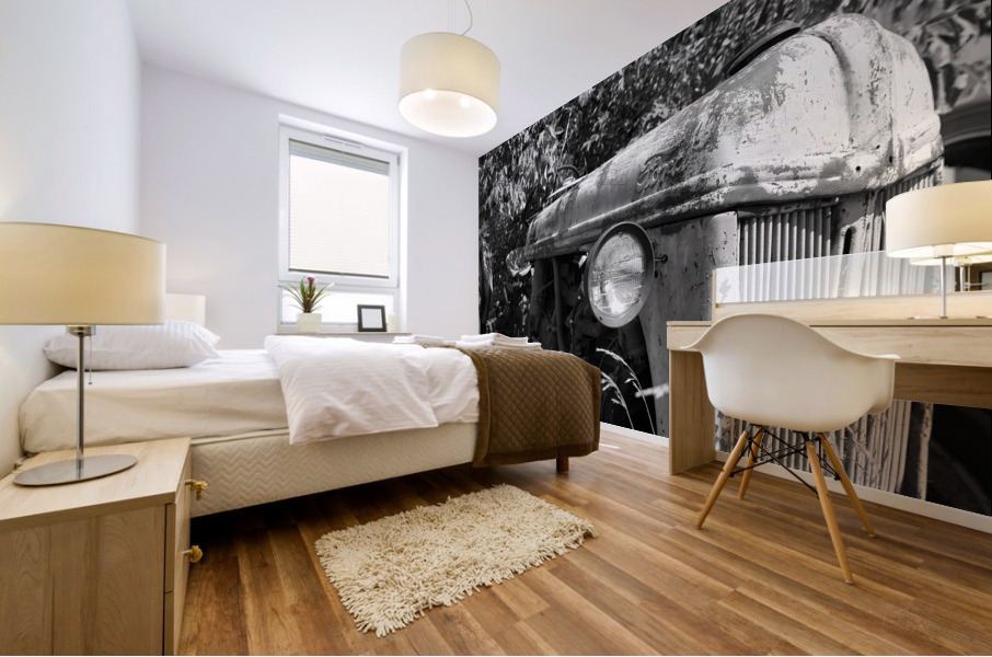 Collection Garage Mural print