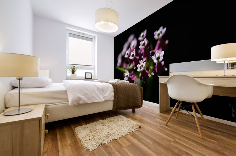 Perce la noirceur  Mural print