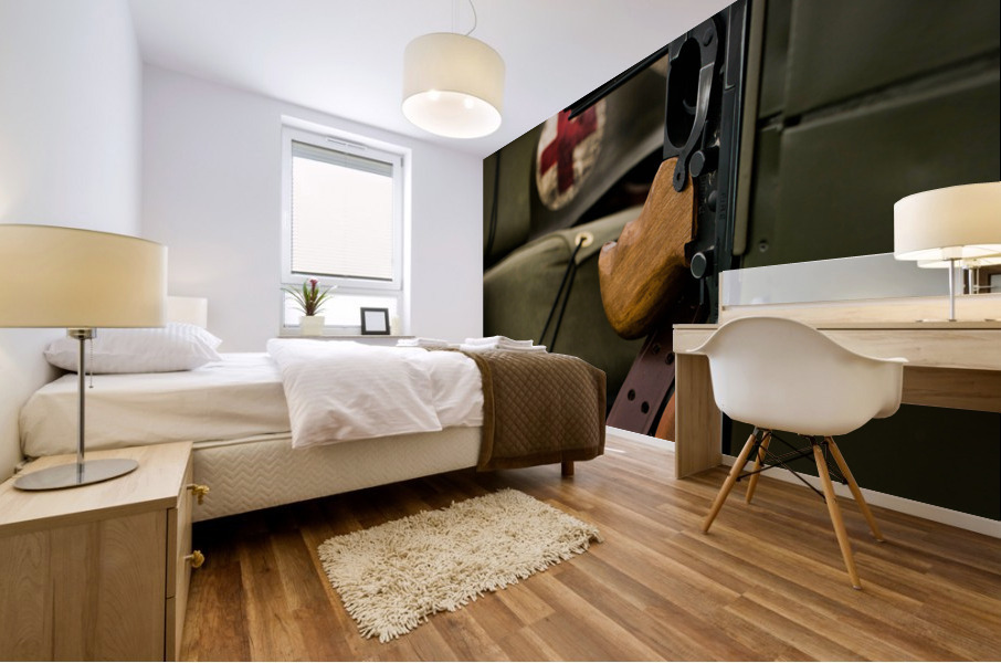 Collection Army Mural print