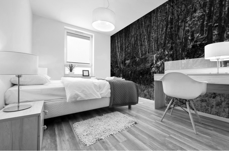 Nostalgie 82 Mural print