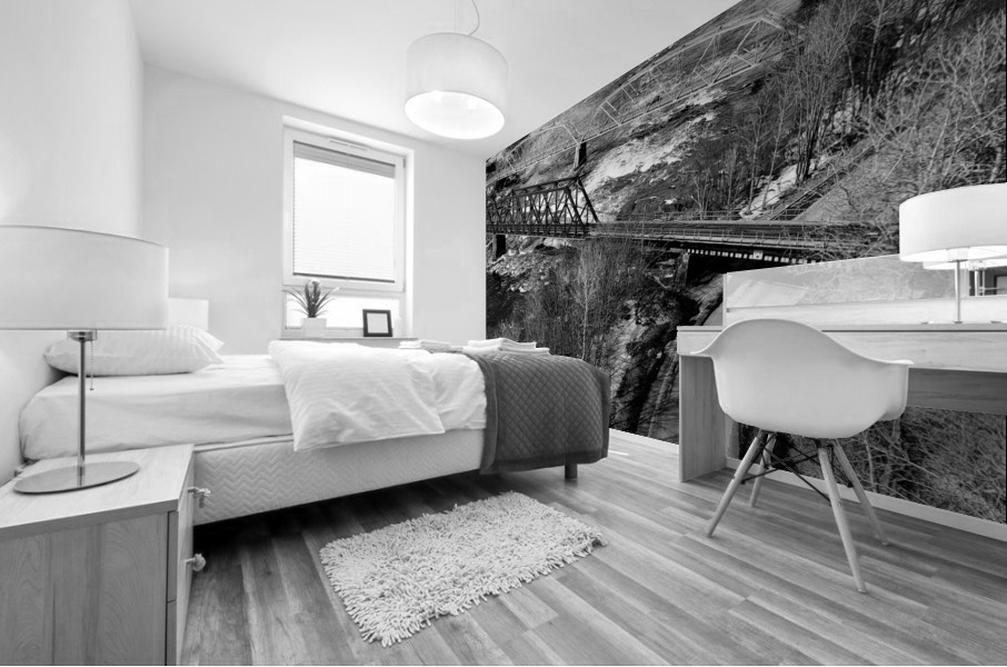 les trois ponts  Mural print