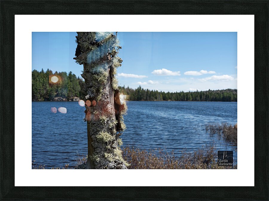 Calme  Picture Frame print