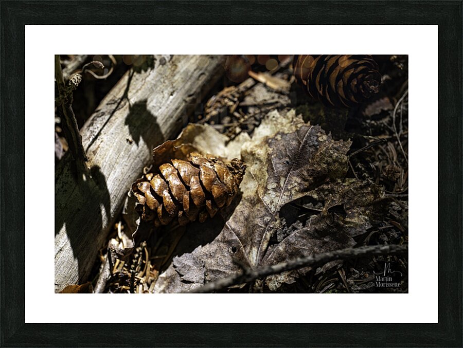 Shut elle dort   Picture Frame print