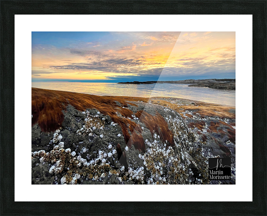 Collection Cote-Nord Picture Frame print