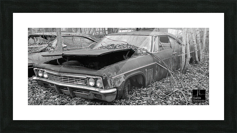 Collection Garage Picture Frame print