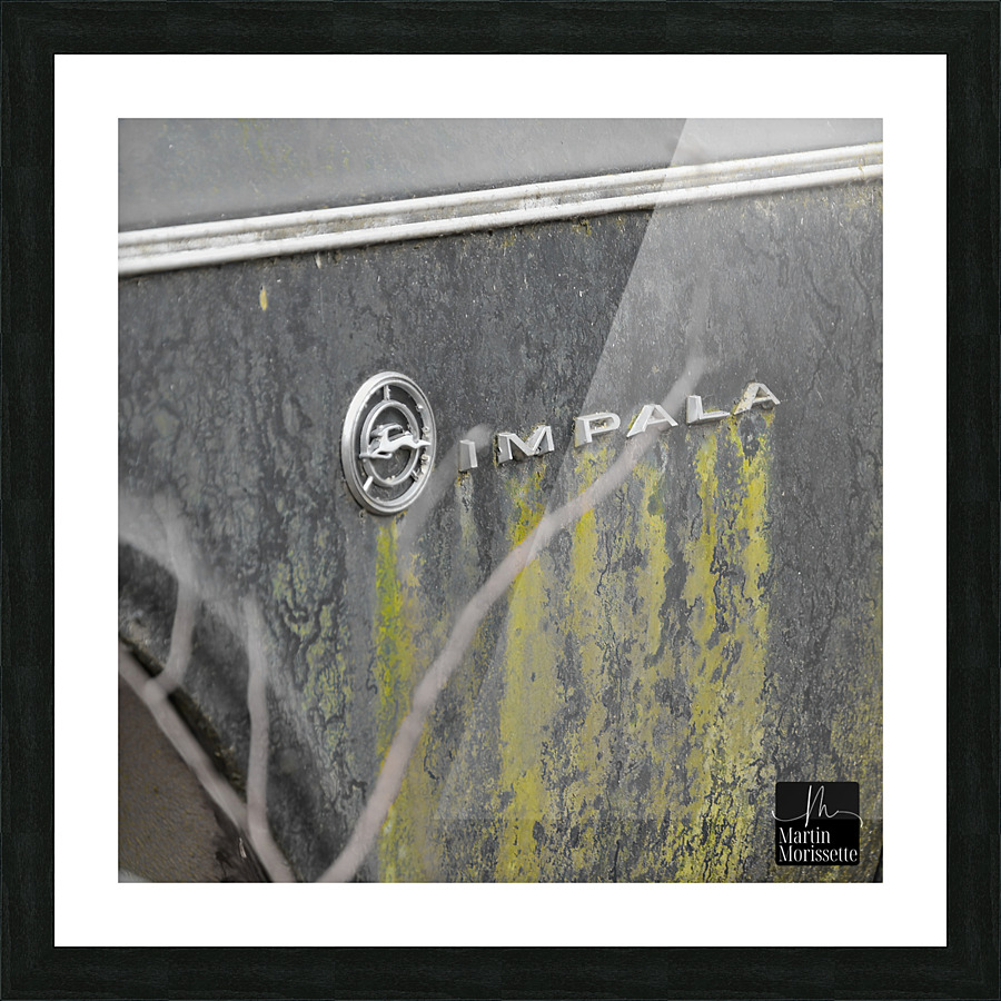 Collection Garage Picture Frame print