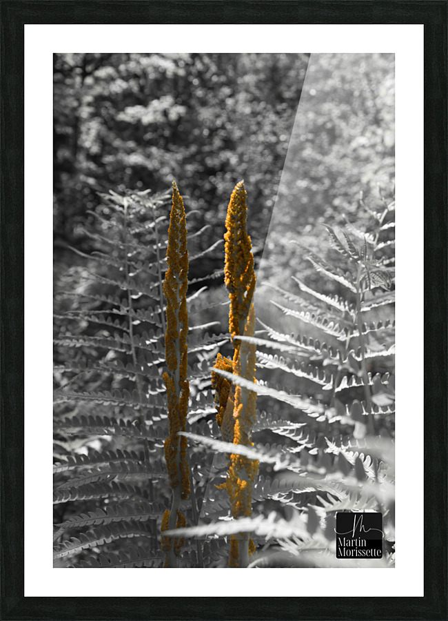 Nature Picture Frame print