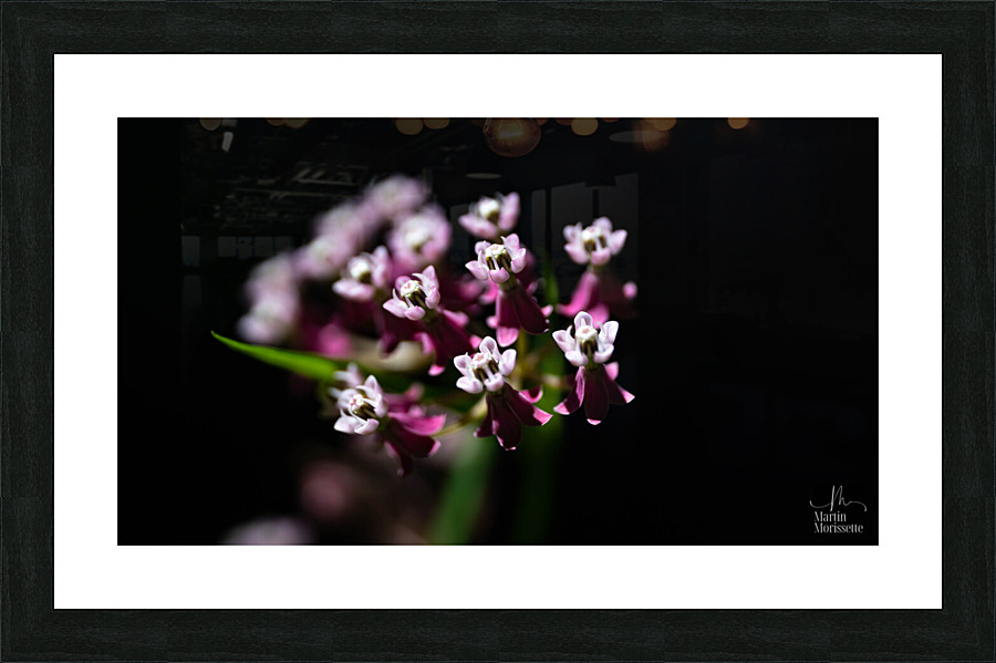 Perce la noirceur  Picture Frame print