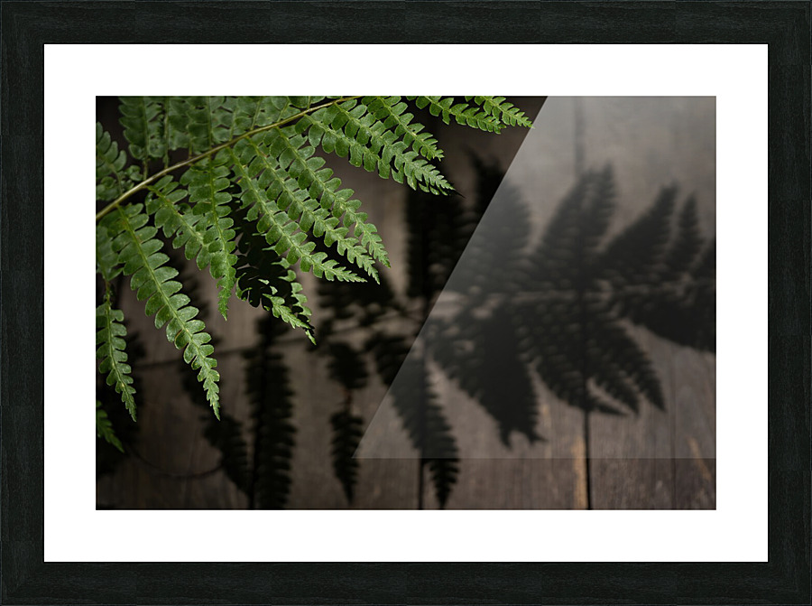 Nature paisible Picture Frame print