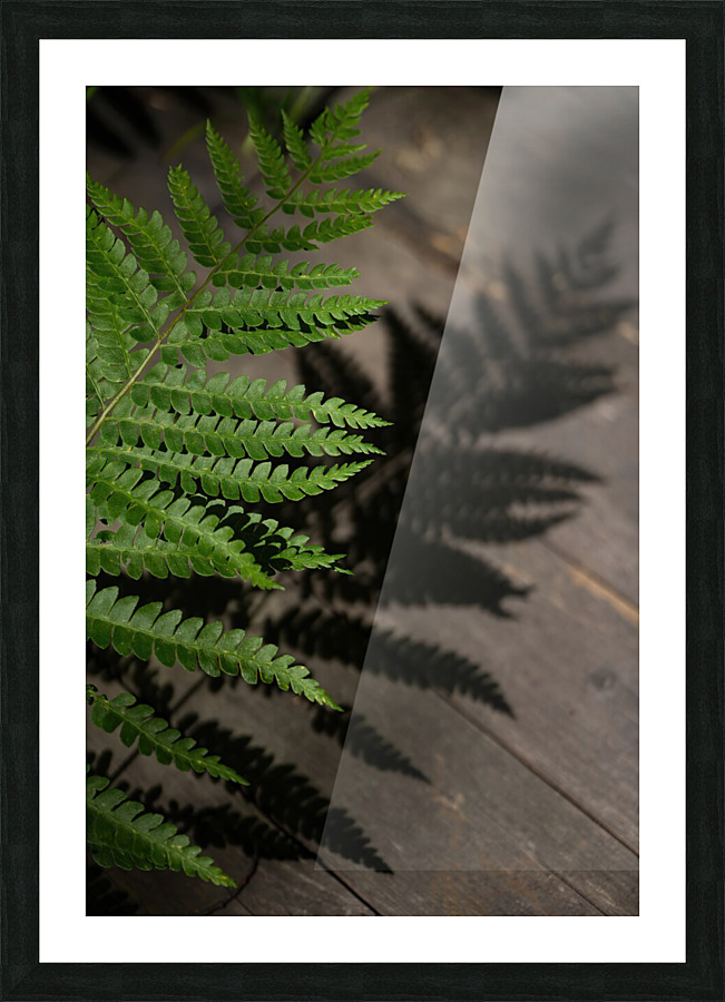 Nature paisible Picture Frame print