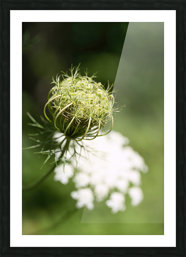 Nature paisible Picture Frame print
