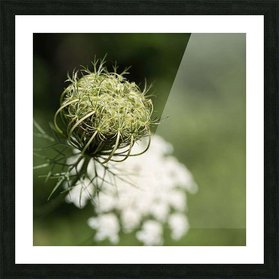 Nature paisible Picture Frame print