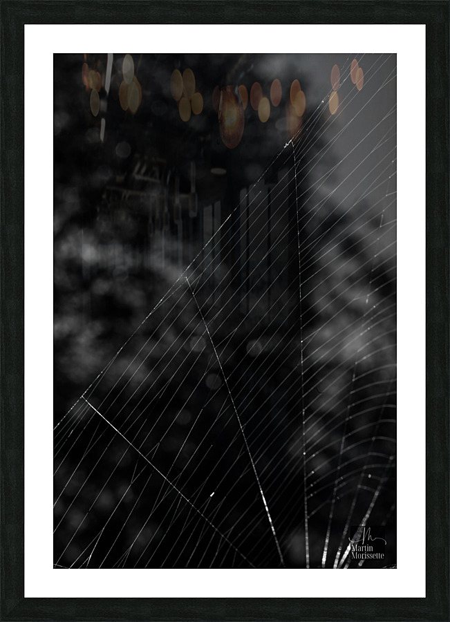 Nature morte Picture Frame print
