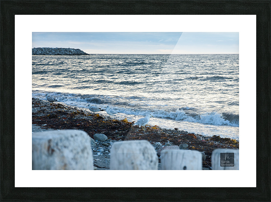 Matane Qc Picture Frame print