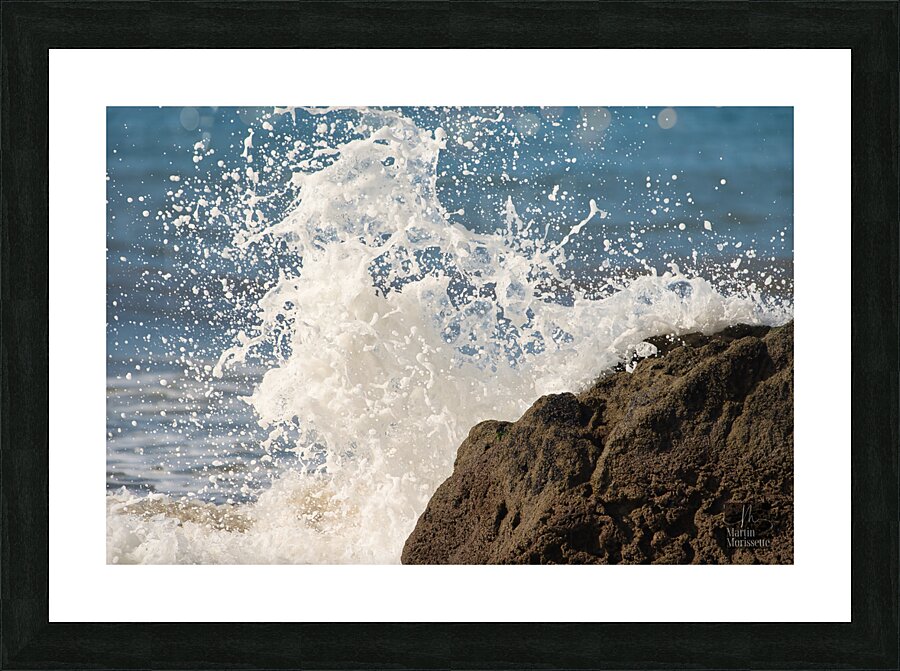 Fracas Picture Frame print