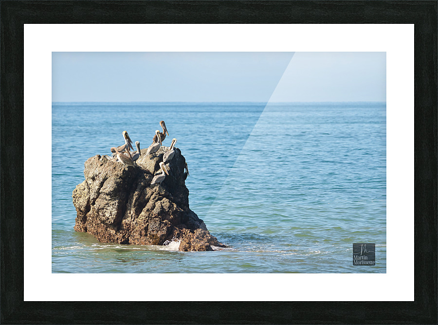 A7403814 Picture Frame print