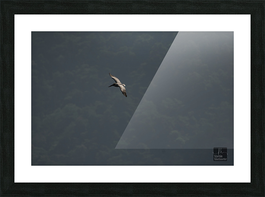 A7403926 Picture Frame print