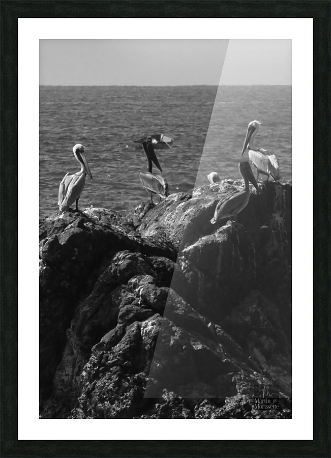 A7404027 Picture Frame print
