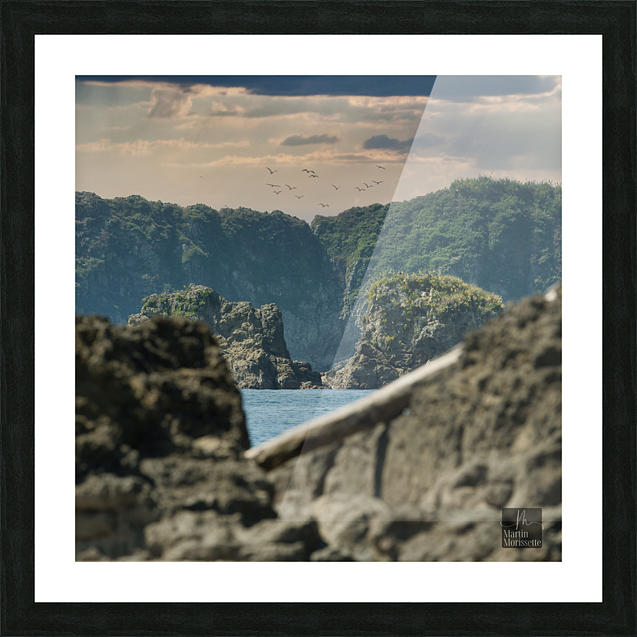 A7404223 Picture Frame print